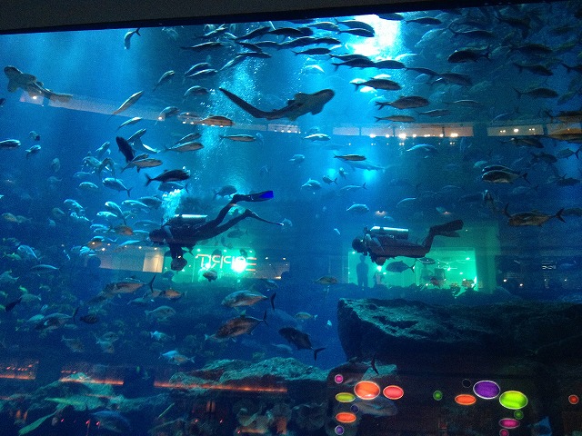 ドバイ水族館