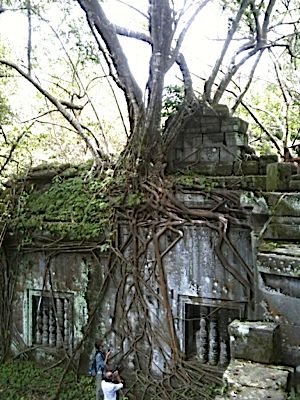 rblog-20140818224950-03.jpg