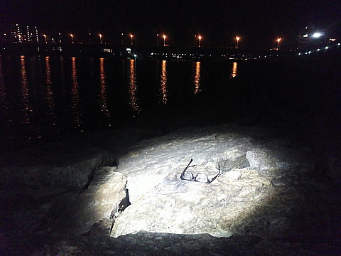 12079039_614933608646106_7648107943984579831_n.jpg