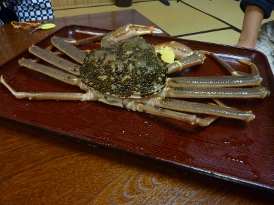 024 (400x300).jpg