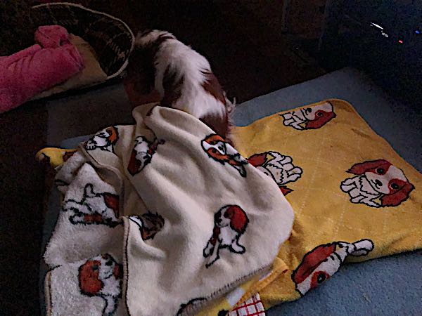 rblog-20180315161956-09.jpg