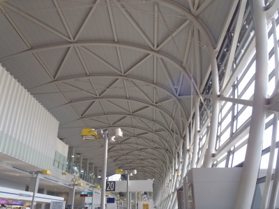 沖縄磯採集2014年9月中旬2　関西国際空港
