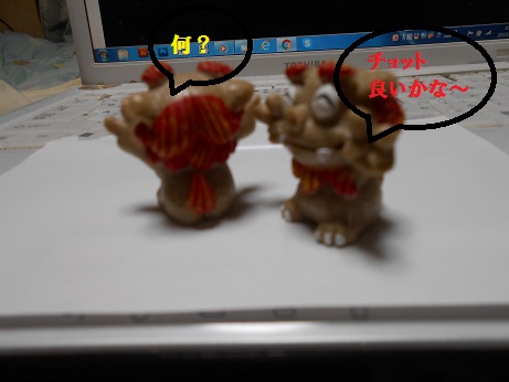 001.JPG