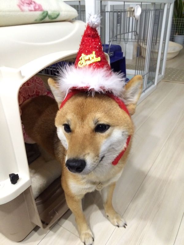 rblog-20151209083149-01.jpg