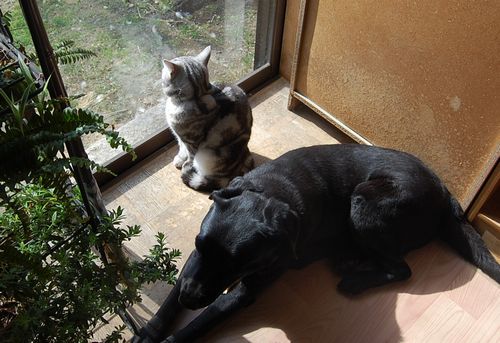 DSC_0149.JPG