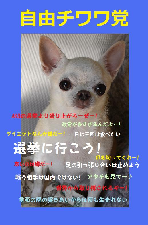 DSC_0358.JPG