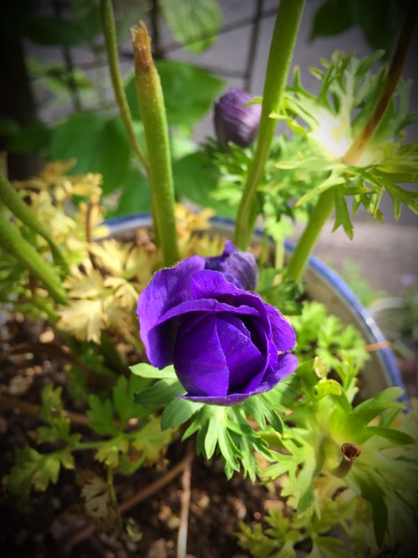 rblog-20150430203917-01.jpg