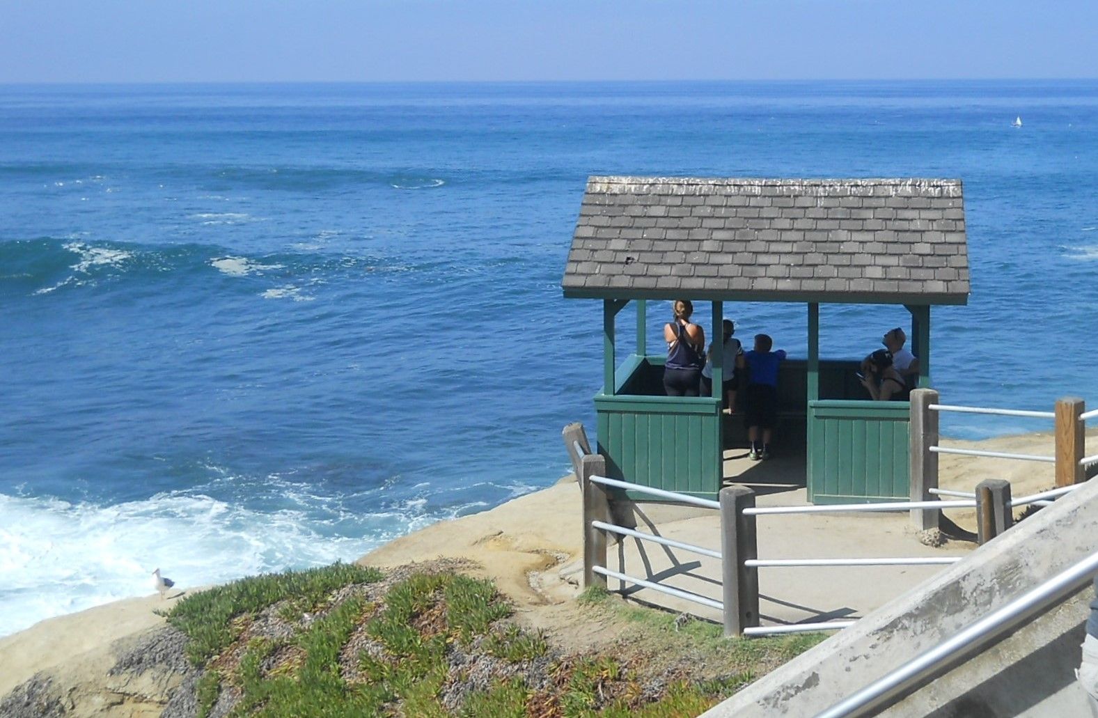 サンディエゴ ラホヤ ビーチ 犬 人 公園 La Jolla Beach 10月14日 ラスベガス ロサンゼルスの旅 楽天ブログ