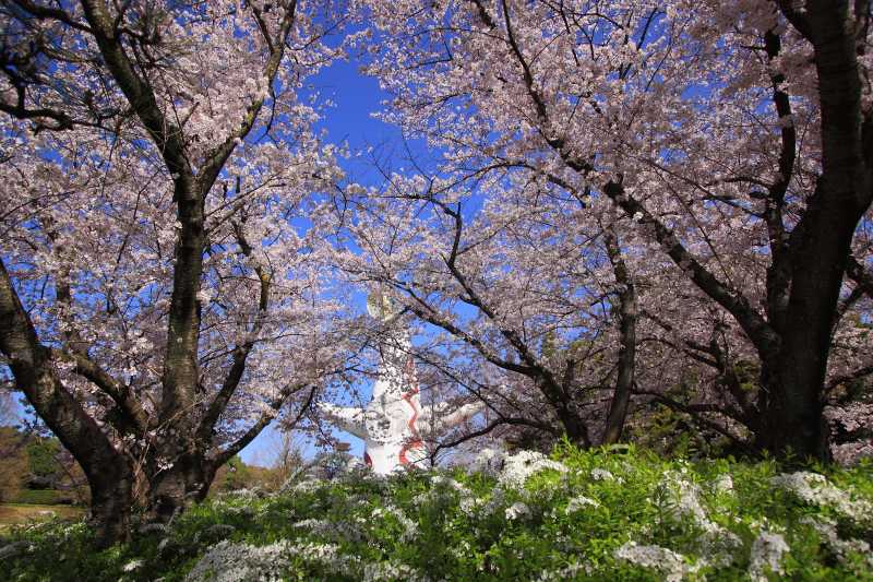 万博記念公園_002.jpg