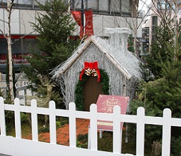 E7D_1249-2.jpg