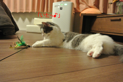 mumu14.jpg