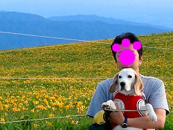 20130720ﾆｯｺｳｷｽｹﾞの里