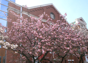 IMG_0518_1.jpg