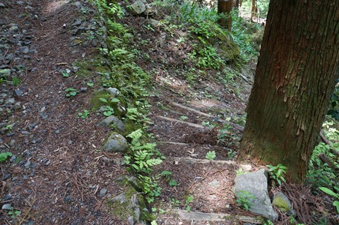 DSC03516.JPG