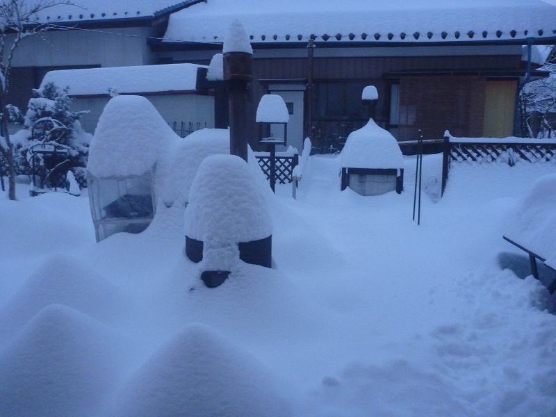 庭の降雪。