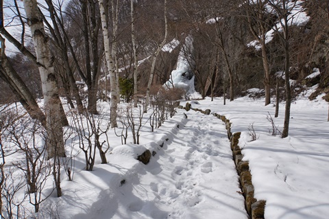 DSC01263.JPG
