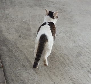 P1310682-ass.jpg