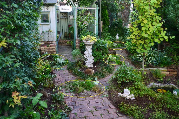 DSC_0011.JPG