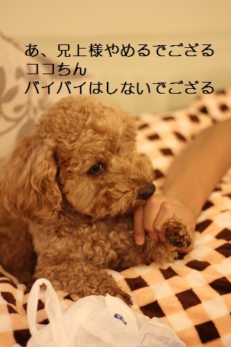 2014_1209_183413-IMG_3496.JPG