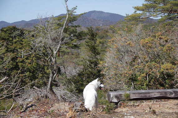 あの山.JPG