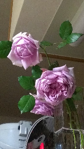 rblog-20131105191953-01.png