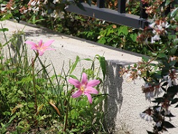 IMG_1664-2.jpg