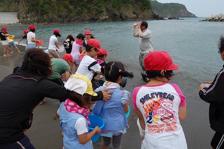 s-DSC_0583.jpg