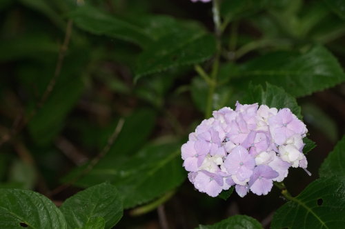 20140618_46.jpg