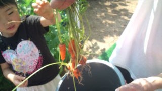 20120812082935.jpg