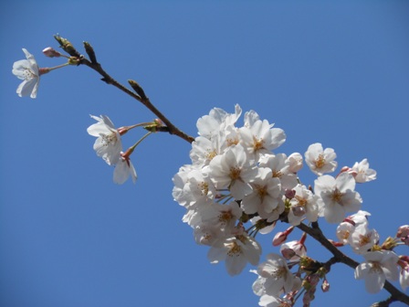 DSCN3465.jpg