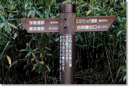 栂池自然園-46 楠川-4 15.10.2