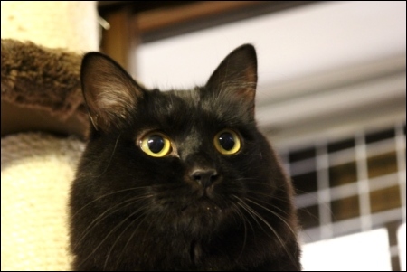 東京旅行-138 竹千代くん-3 13.10.6