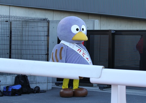 2012トウホクビジン浦和記念１.jpg