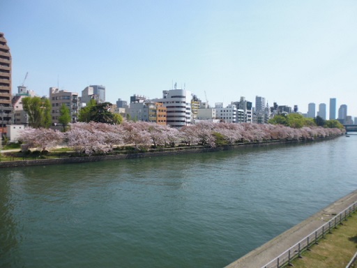 P1010054.JPG