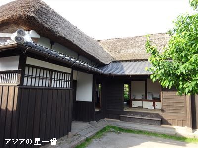 20160523 有明湾干潟6