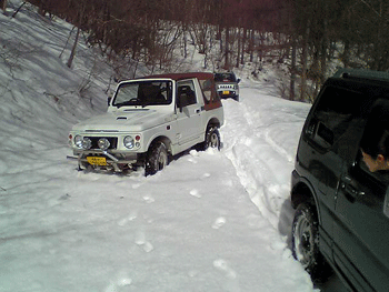 V8010043.gif