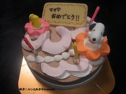 DSCF9224.jpg