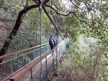 吊り橋 - コピー.jpg