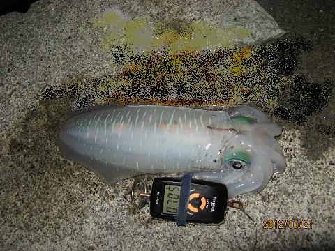 121021~22八木沢～江梨 020-705g.JPG