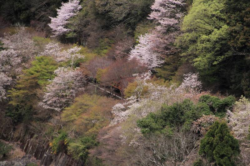 亀山展望台（第一）_003.jpg