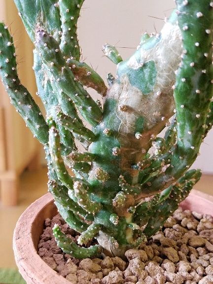 rblog-20180831113029-07.jpg