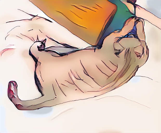 X8WWSTYF9NC9S29SYGFP999T6PAJGX15_0 (9).jpg