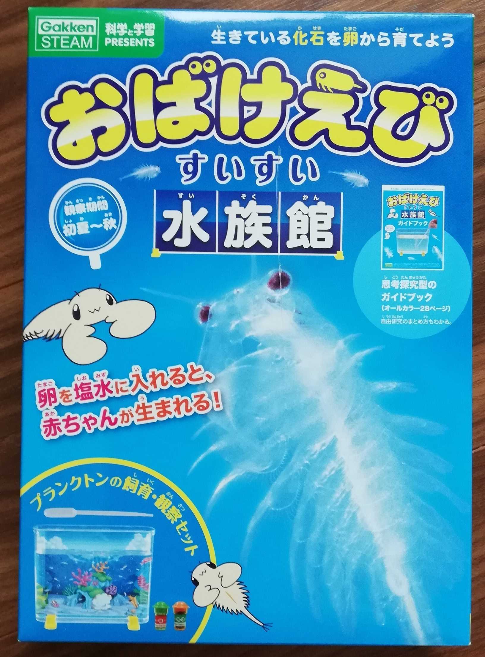 やっと終った夏休みの自由研究 知育大好き教育ママ オススメ教材と朝学習 楽天ブログ