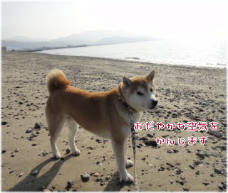 0117昼4.jpg