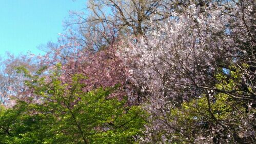 rblog-20160326092804-04.jpg