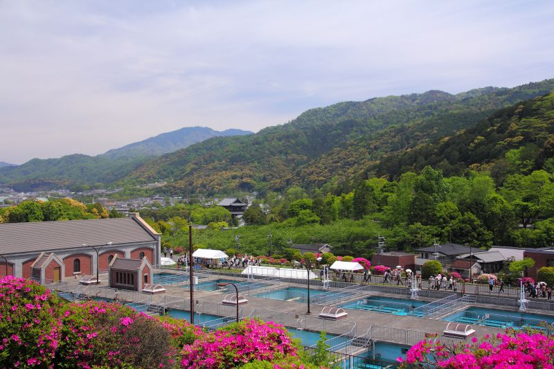 蹴上浄水場ツツジ_006.jpg