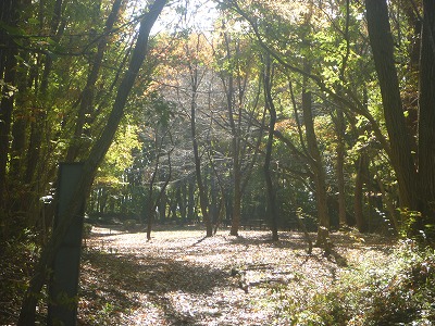 オガサカ峠。