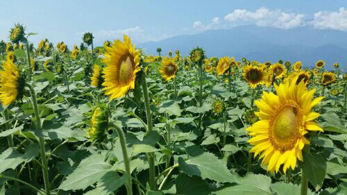 rblog-20160807151913-03.jpg