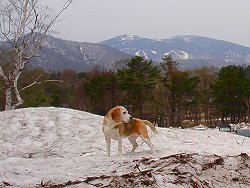 20120430残雪