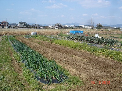 DSC05562.jpg